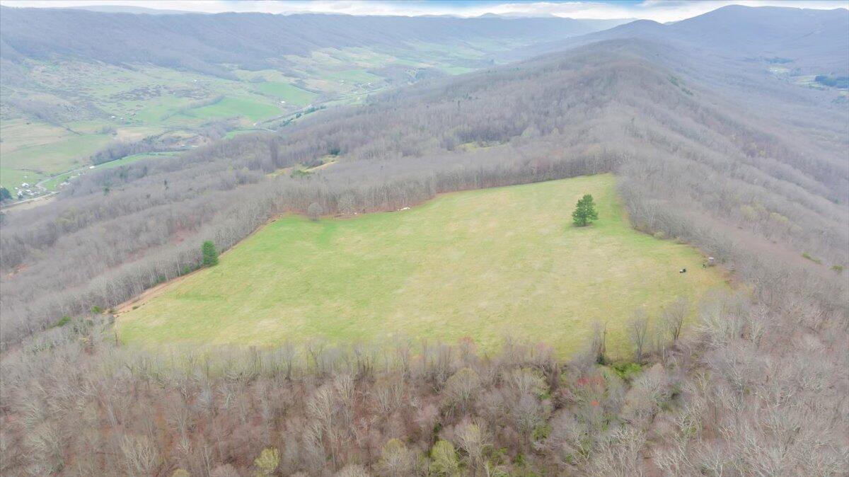 7415 Clear Fork Creek Road Bastian, VA 24314 - Photo 105 of 117 093-DJI_20240410133710_0021_D_MIB