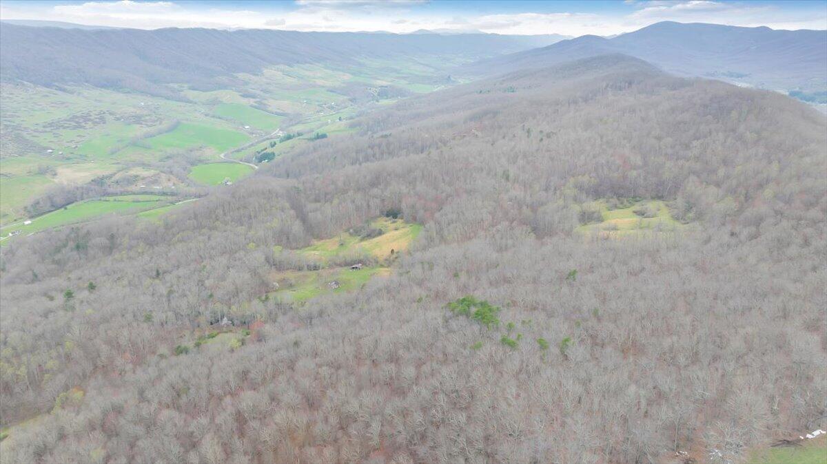 7415 Clear Fork Creek Road Bastian, VA 24314 - Photo 107 of 117 095-DJI_20240410133757_0023_D_MIB