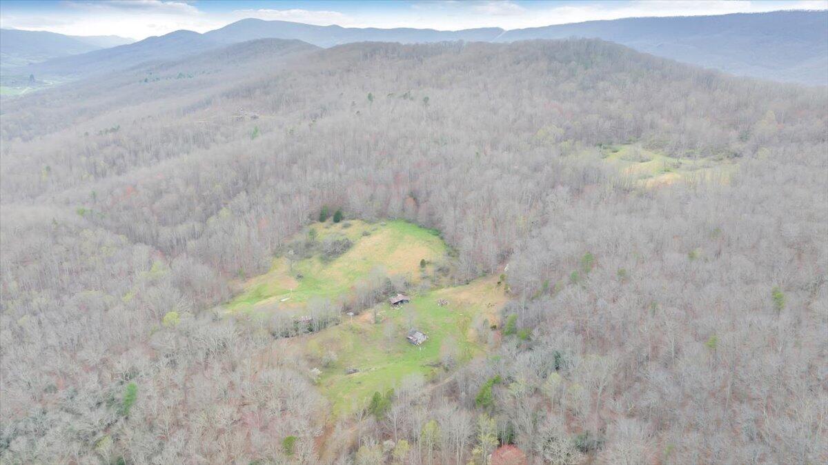 7415 Clear Fork Creek Road Bastian, VA 24314 - Photo 109 of 117 097-DJI_20240410133841_0025_D_MIB