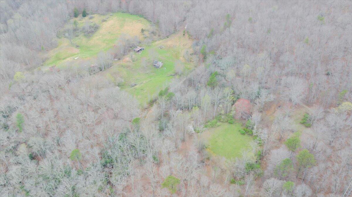 7415 Clear Fork Creek Road Bastian, VA 24314 - Photo 110 of 117 098-DJI_20240410133859_0026_D_MIB