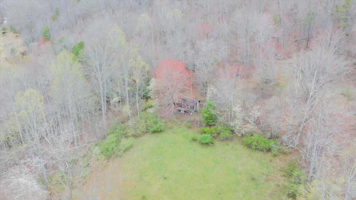 7415 Clear Fork Creek Road Bastian, VA 24314 - Photo 111 of 117 099-DJI_20240410134010_0027_D_MIB