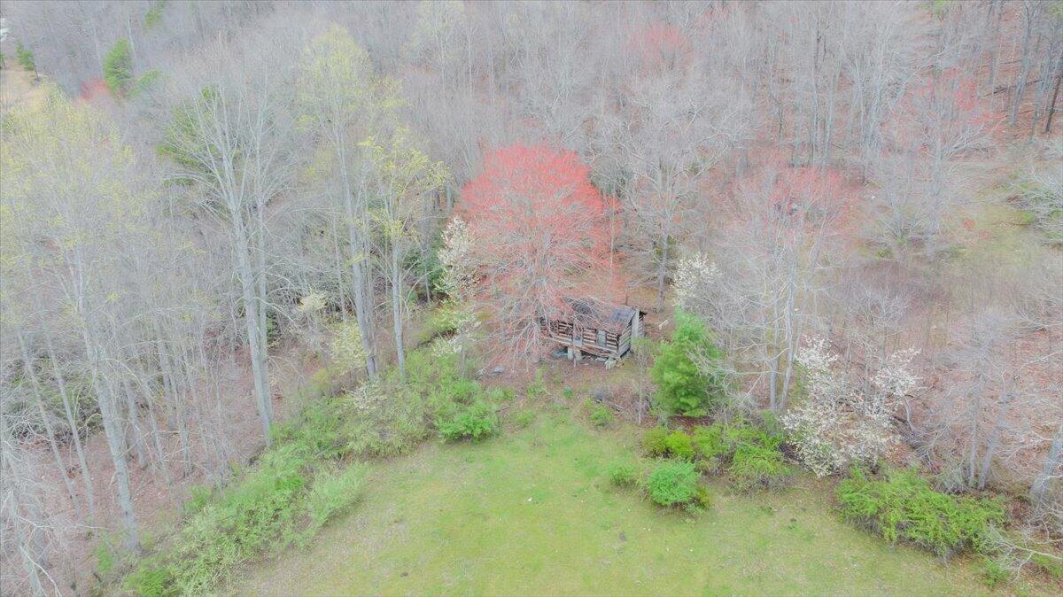7415 Clear Fork Creek Road Bastian, VA 24314 - Photo 112 of 117 100-DJI_20240410134022_0028_D_MIB