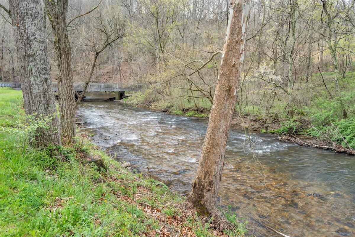 7415 Clear Fork Creek Road Bastian, VA 24314 - Photo 17 of 117 a view of a yard with trees