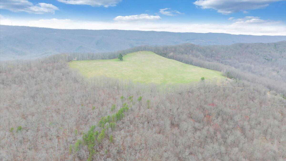7415 Clear Fork Creek Road Bastian, VA 24314 - Photo 20 of 117 103-DJI_20240410134156_0031_D_MIB
