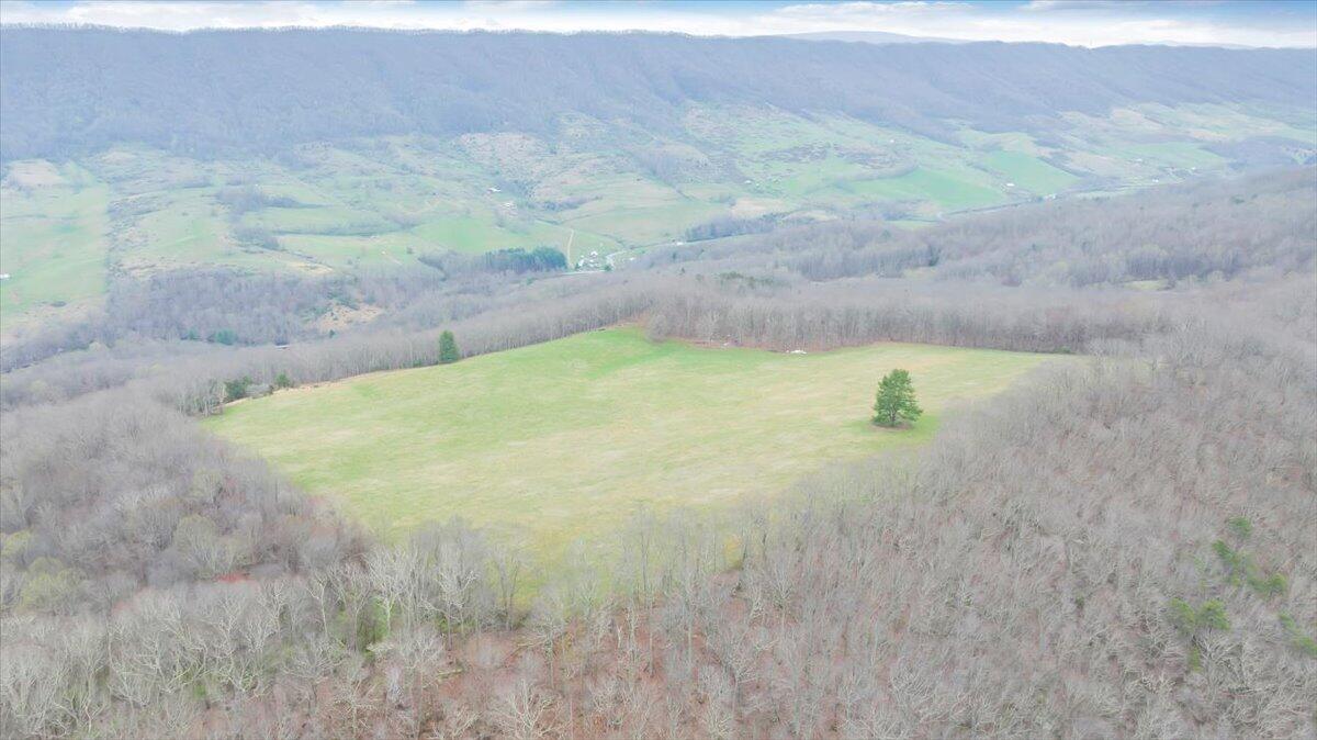 7415 Clear Fork Creek Road Bastian, VA 24314 - Photo 21 of 117 109-DJI_20240410134628_0037_D_MIB