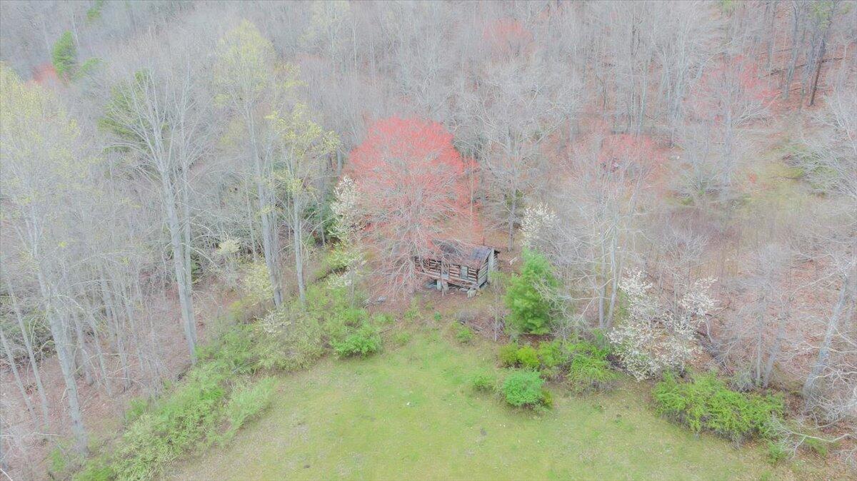 7415 Clear Fork Creek Road Bastian, VA 24314 - Photo 22 of 117 101-DJI_20240410134029_0029_D_MIB