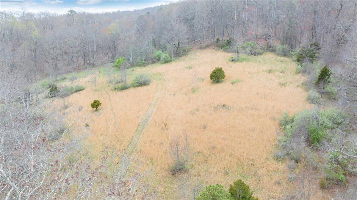 7415 Clear Fork Creek Road Bastian, VA 24314 - Photo 24 of 117 089-DJI_20240410132128_0016_D_MIB