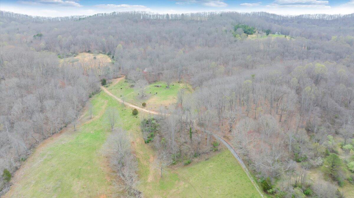 7415 Clear Fork Creek Road Bastian, VA 24314 - Photo 25 of 117 087-DJI_20240410132047_0014_D_MIB