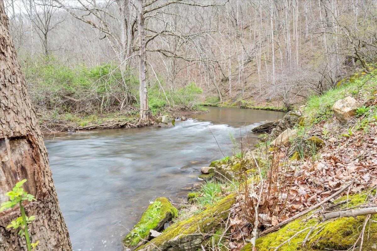 7415 Clear Fork Creek Road Bastian, VA 24314 - Photo 81 of 117 062-MIB07562