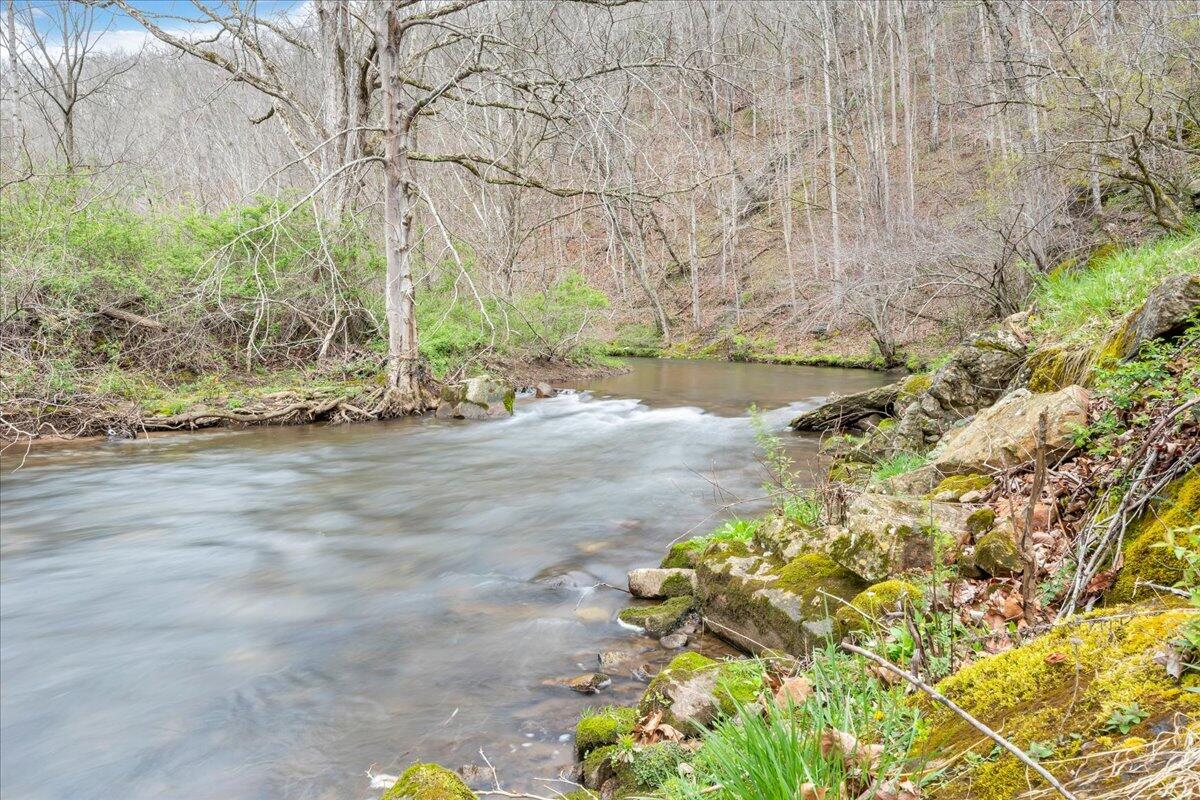 7415 Clear Fork Creek Road Bastian, VA 24314 - Photo 82 of 117 063-MIB07565