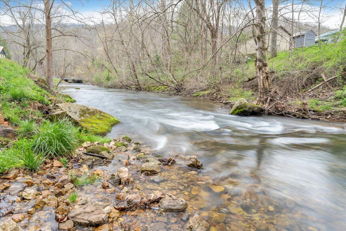 7415 Clear Fork Creek Road Bastian, VA 24314 - Photo 83 of 117 a view of a yard with plants and trees