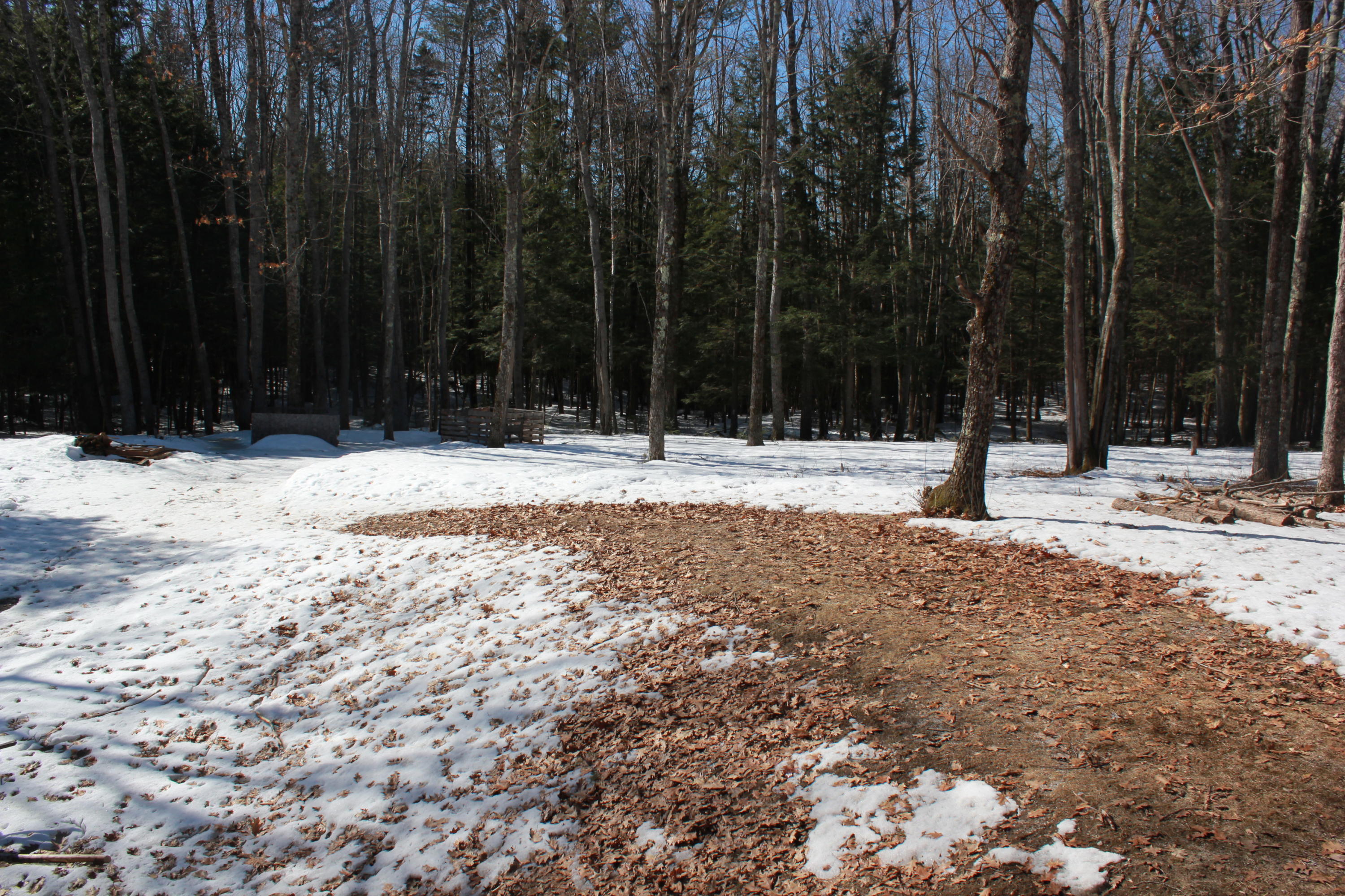 147 New County Road Hollis Center, ME 04042 - Photo 13 of 20 IMG_4396