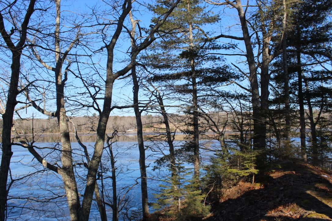 447 Castine Road Orland, ME 04472 - Photo 65 of 92 thumb_IMG_7066_1024