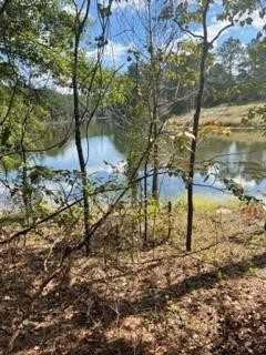 0 Broomstraw Road Johnston, SC 29832 - Photo 21 of 22