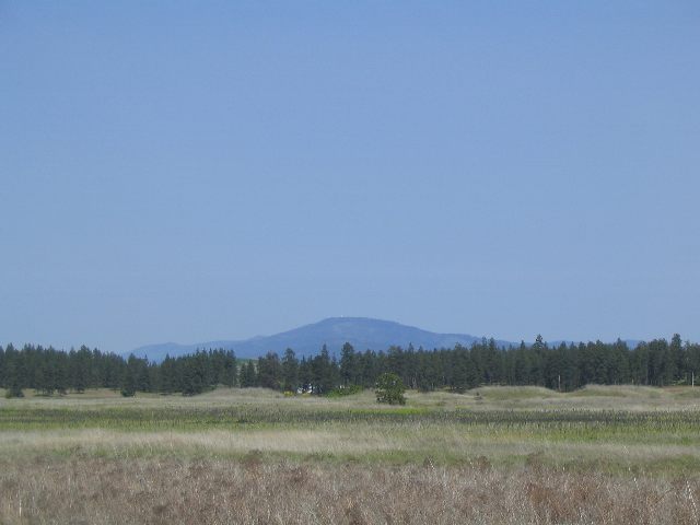 21000 South Spangle Creek Road Spangle, WA 99031 - Photo 5 of 6