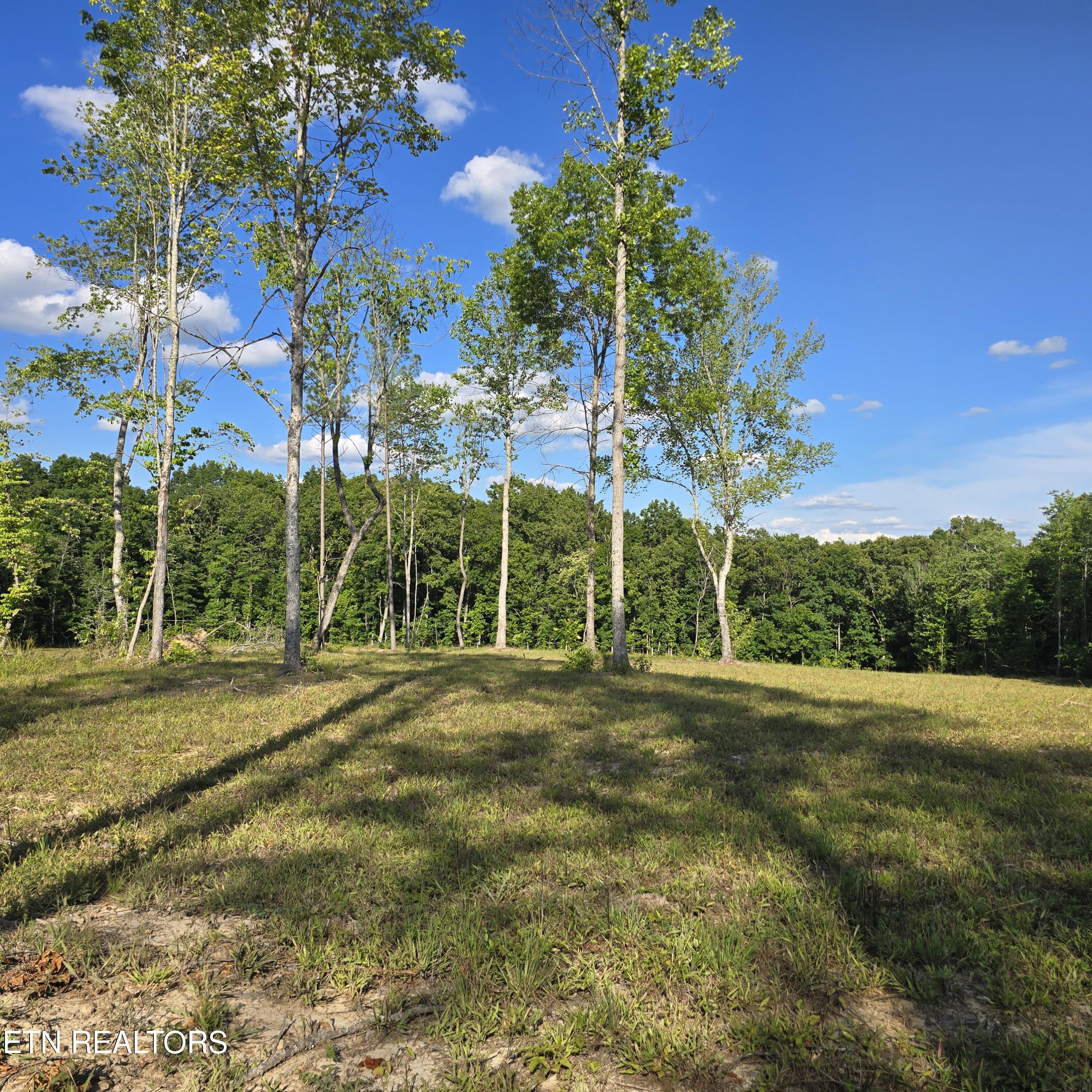 80-ac Red Hill Road Sunbright, TN 37872 - Photo 14 of 16 20260620_180402