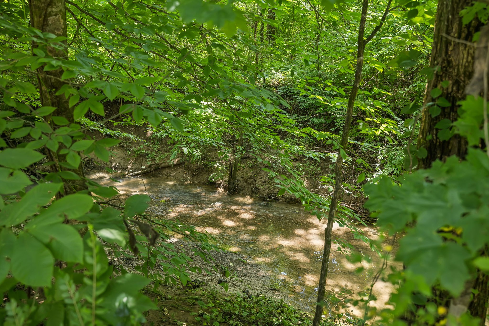 4019 Fremantle Circle Spring Hill, TN 37174 - Photo 39 of 43