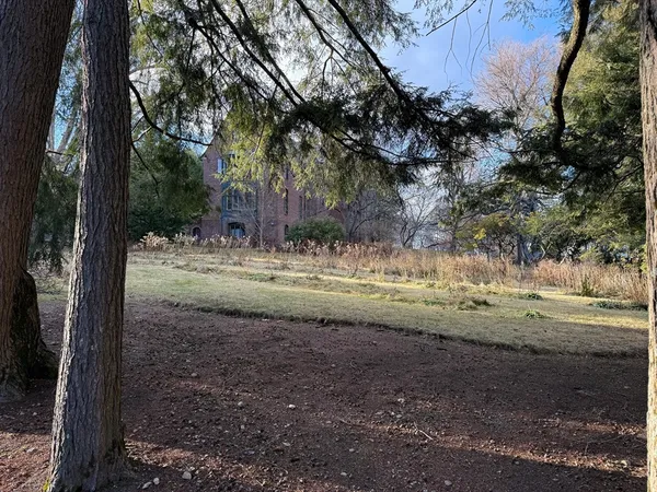 a view of dirt yard with a large tree