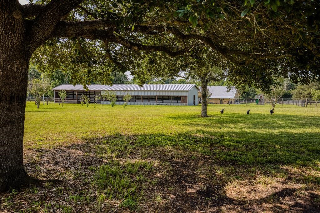 6900 Schroeder Road Brenham, TX 77833 - Photo 30 of 31 a view of a swimming pool with an outdoor seating and a garden