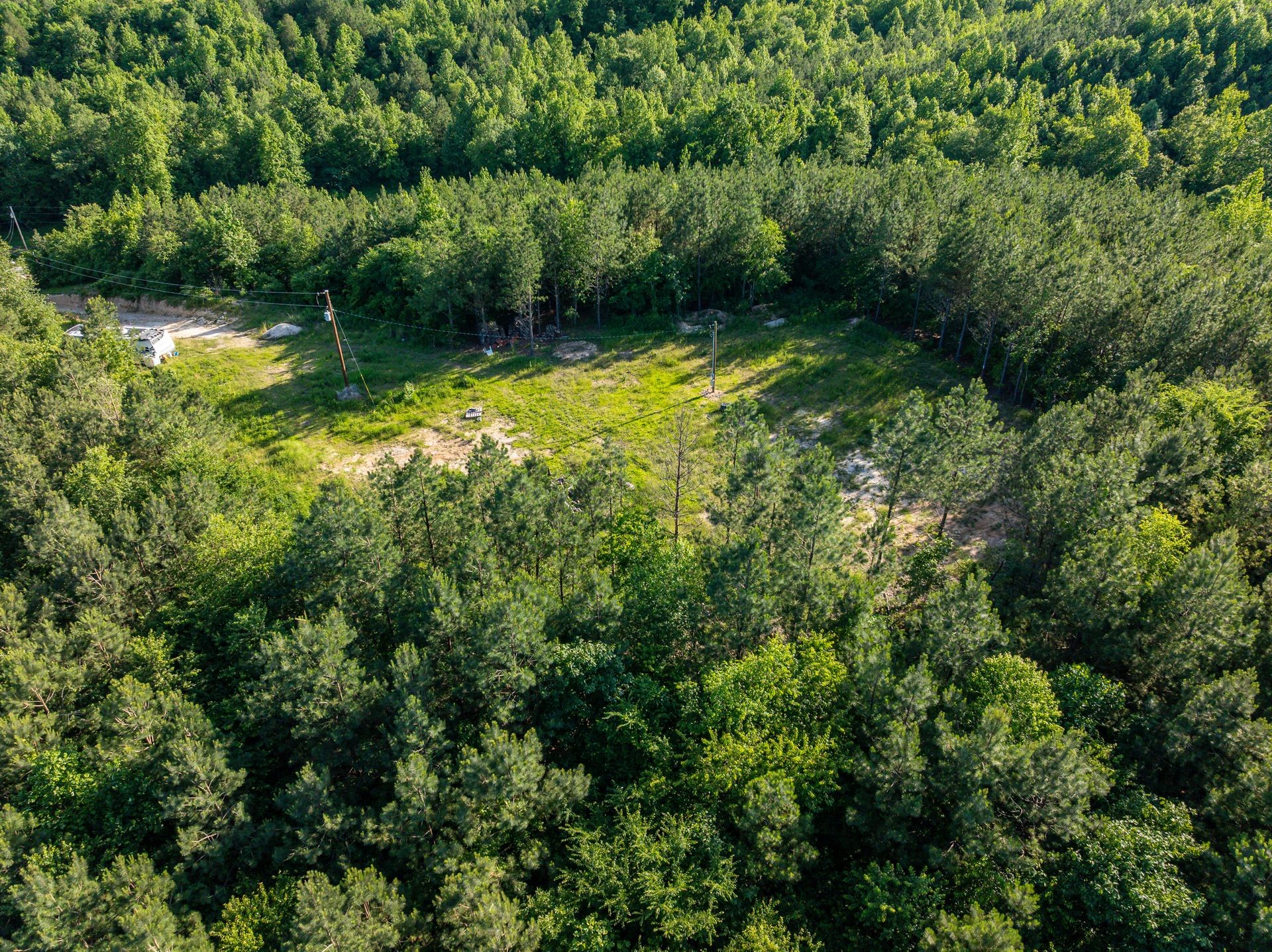 1882 Morris Road Holladay, TN 38341 - Photo 19 of 43 a view of yard