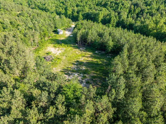 a view of yard with green space
