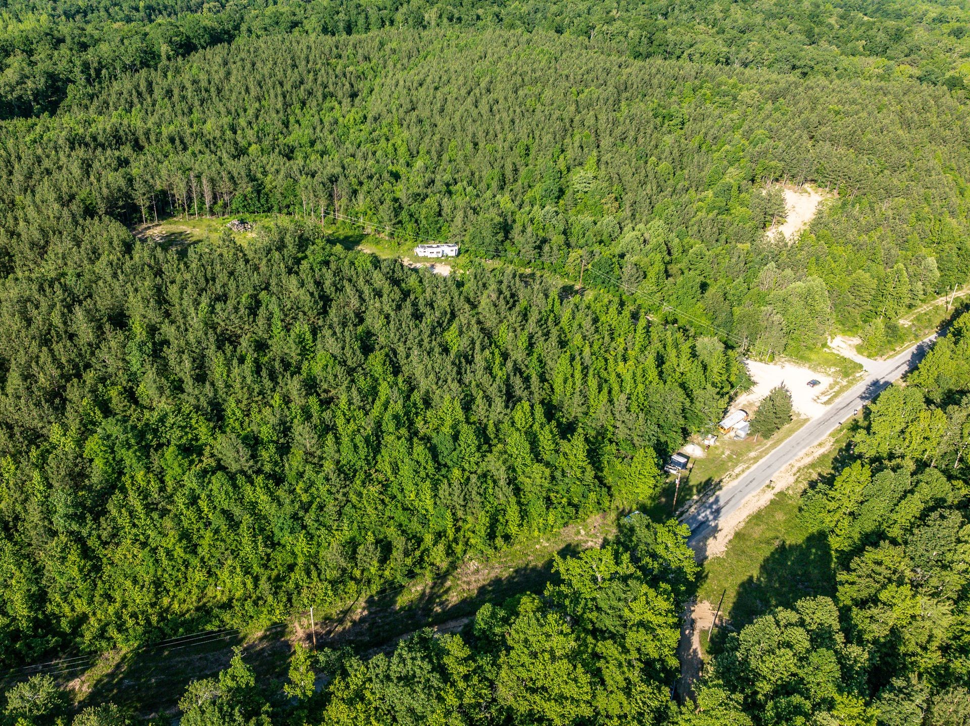 1882 Morris Road Holladay, TN 38341 - Photo 21 of 43 a view of a lush green forest