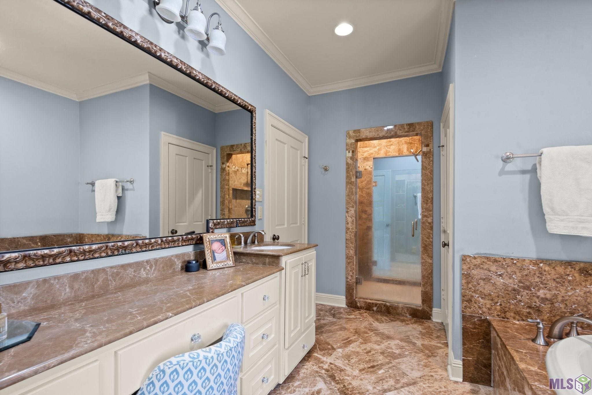 7128 Boyce Drive Baton Rouge, LA 70809 - Photo 34 of 60 Primary Suite bath - tub side