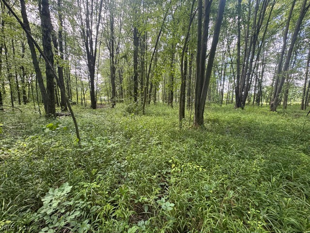 Shafer Road Warren, OH 44481 - Photo 8 of 13 Gallery Image 8