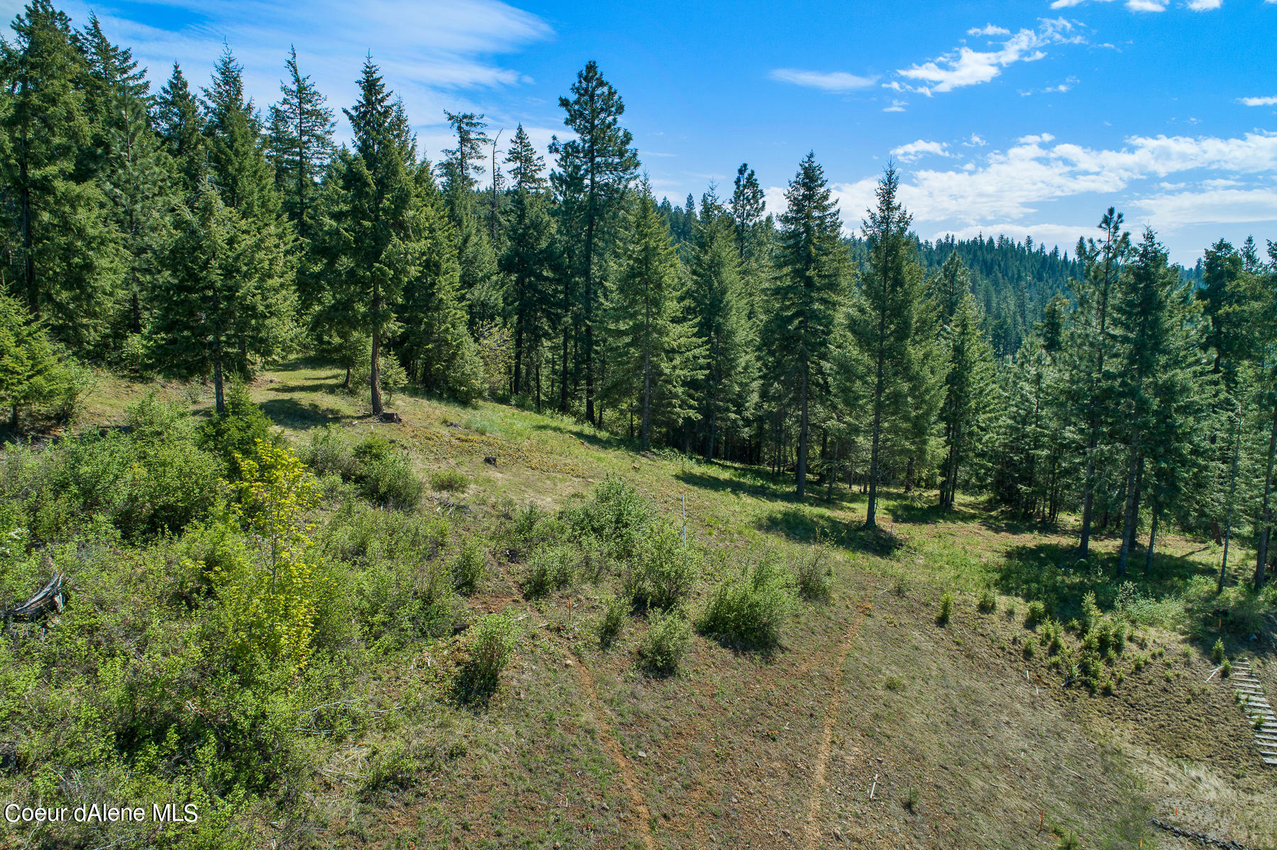 Lot 149 Gadwell Harrison, ID 83833 - Photo 3 of 12 Aerial_Gadwell_Lot149-4