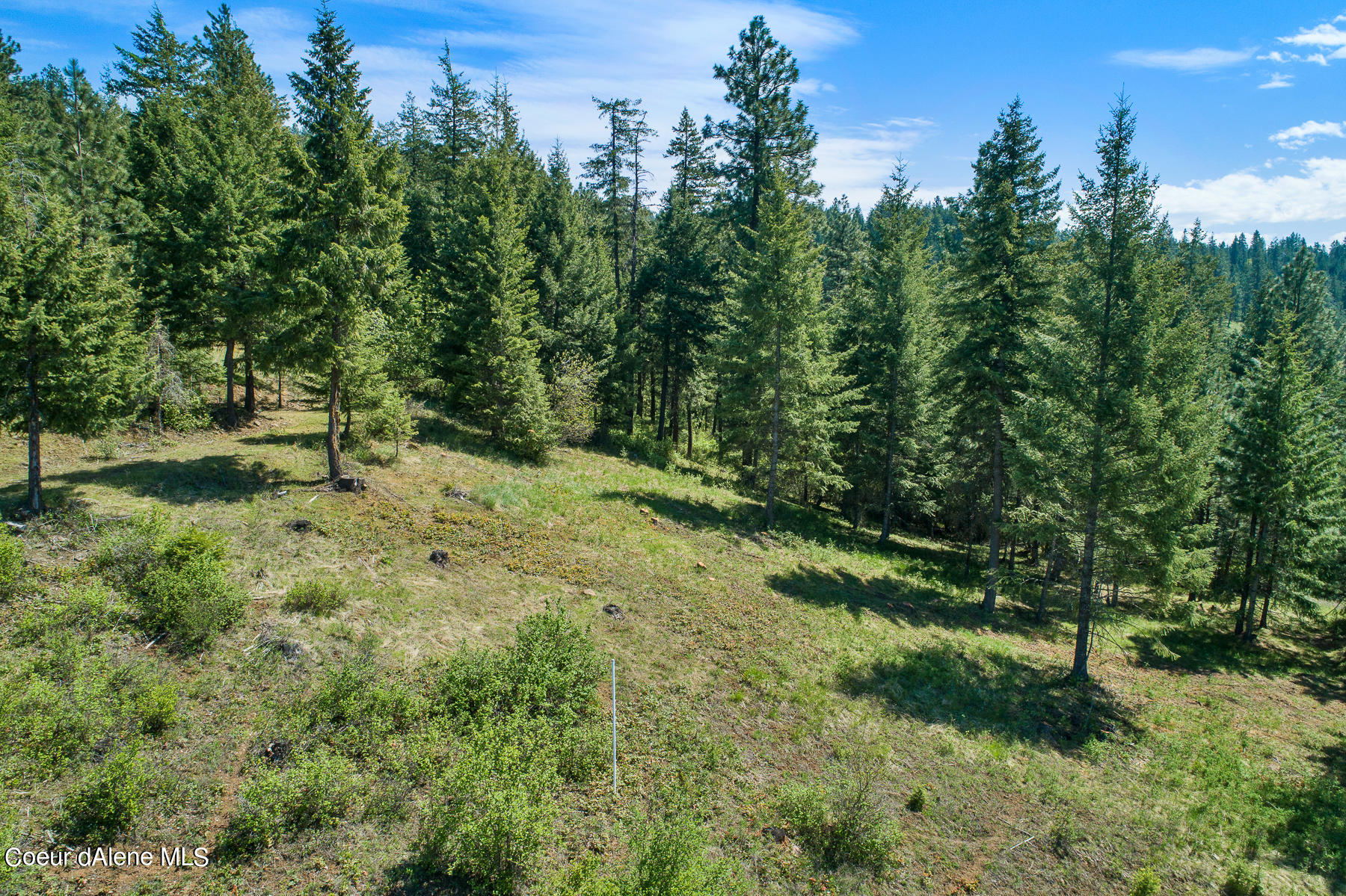 Lot 149 Gadwell Harrison, ID 83833 - Photo 4 of 12 Aerial_Gadwell_Lot149-5