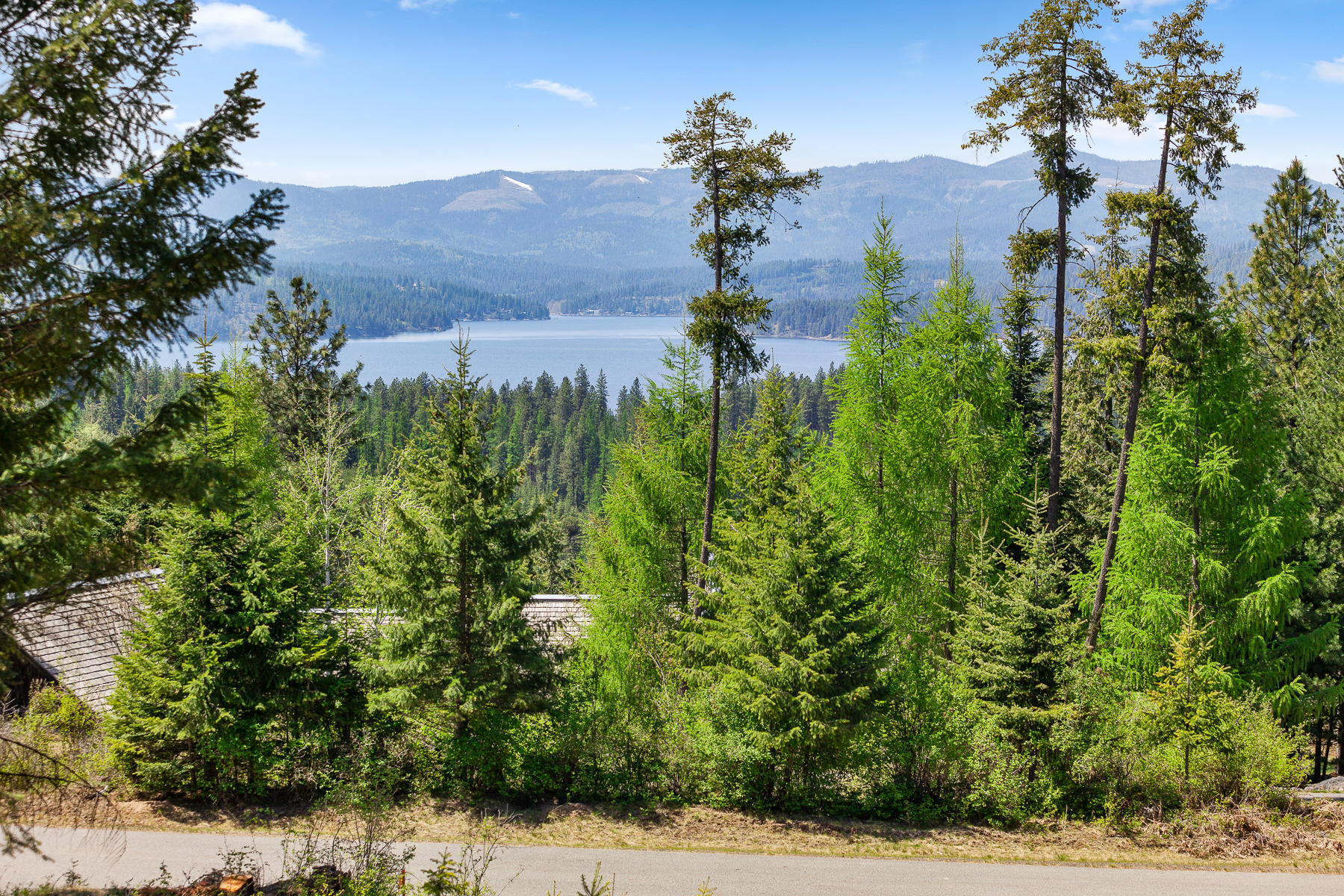 Lot 149 Gadwell Harrison, ID 83833 - Photo 9 of 12 Gadwell_Lot149-3
