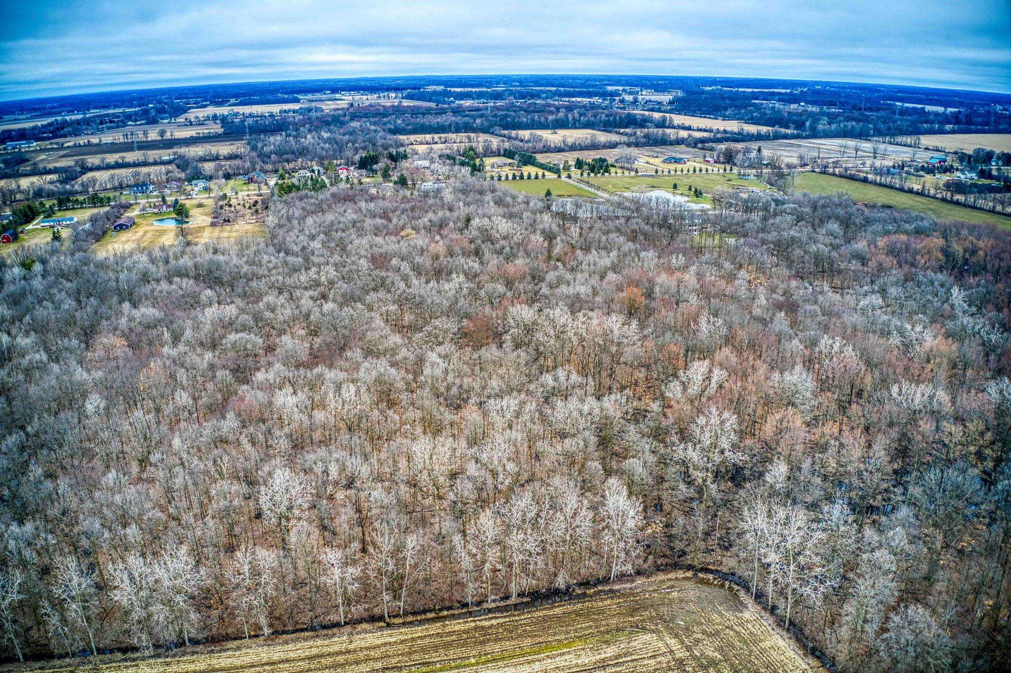 0 33 33 Mile Road Armada, MI 48005 - Photo 7 of 11