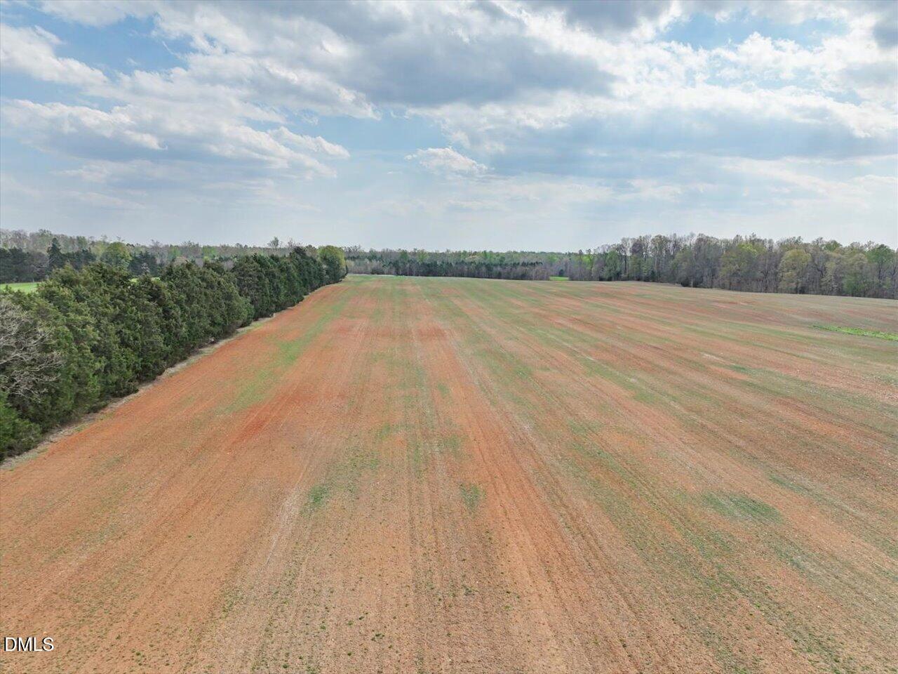 7793 Ridgeville Road Leasburg, NC 27291 - Photo 60 of 91