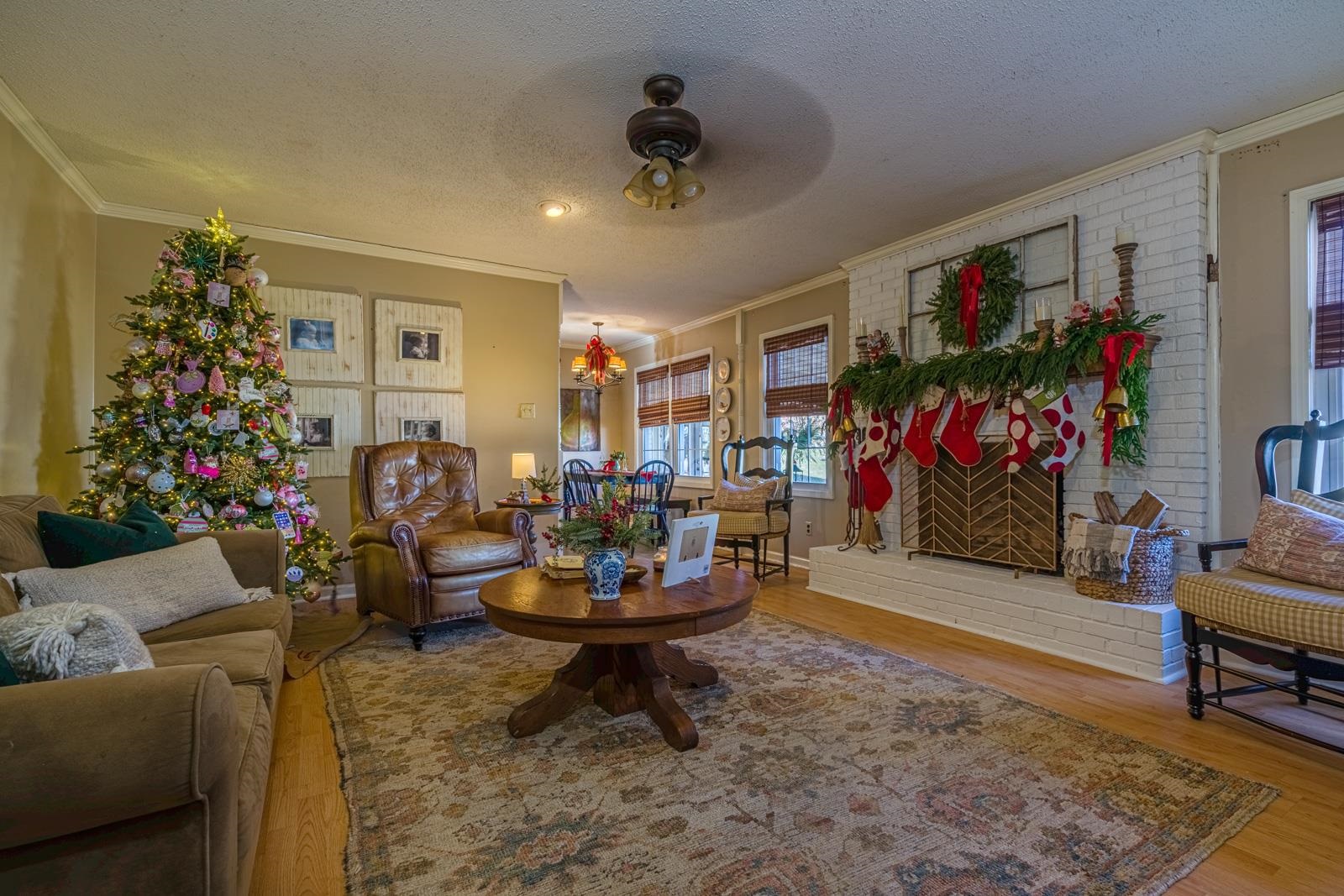 704 Irene Circle Covington, TN 38019 - Photo 8 of 31 a living room filled with furniture and a potted plant