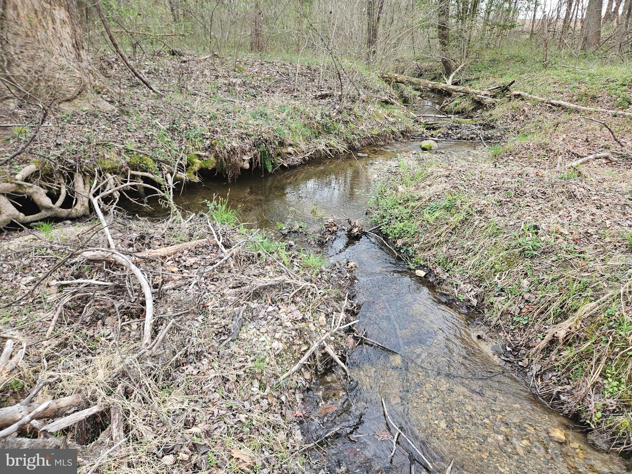 83.84-ac South James River Road Buckingham, VA 23921 - Photo 13 of 21