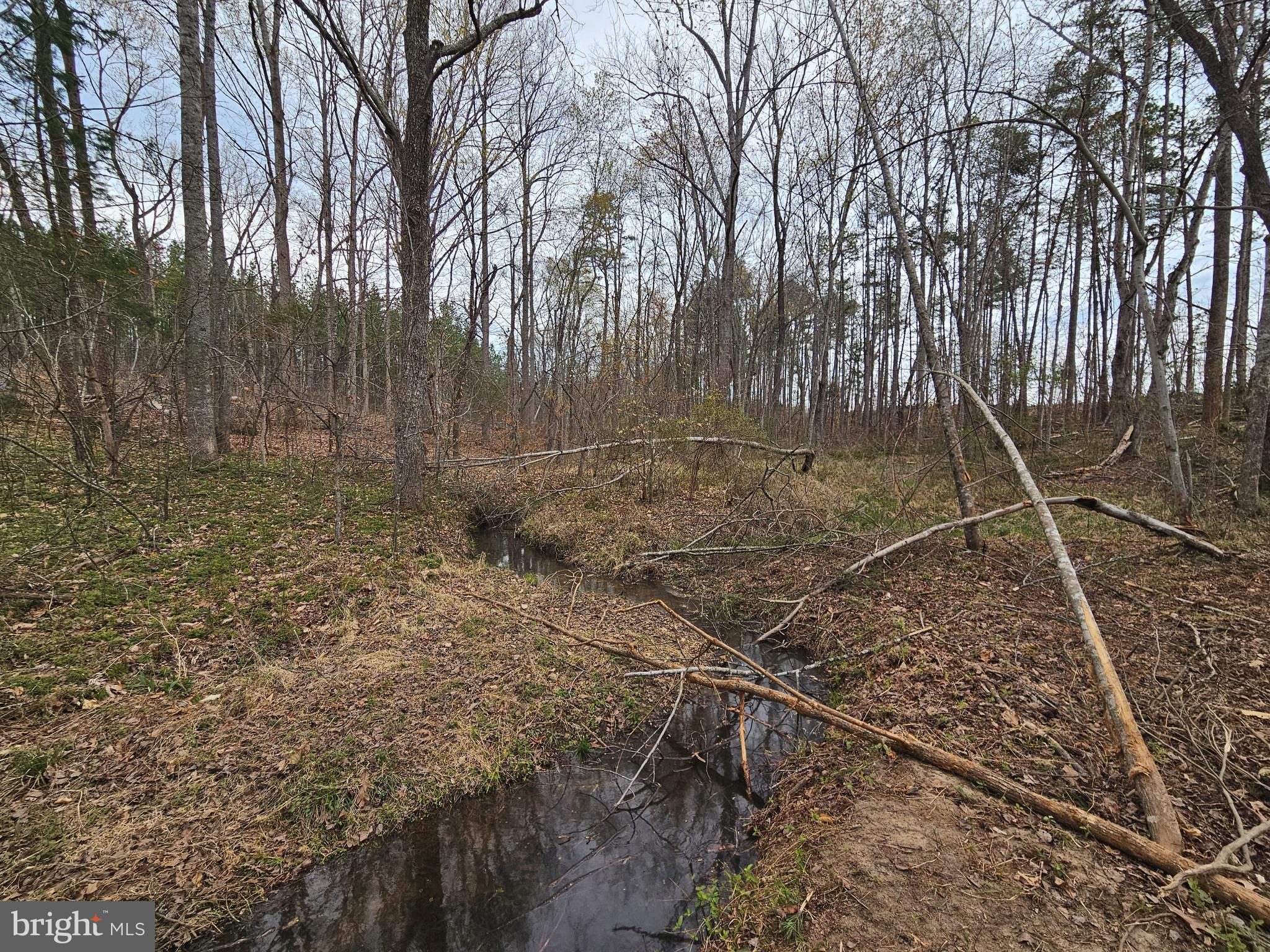 83.84-ac South James River Road Buckingham, VA 23921 - Photo 16 of 21
