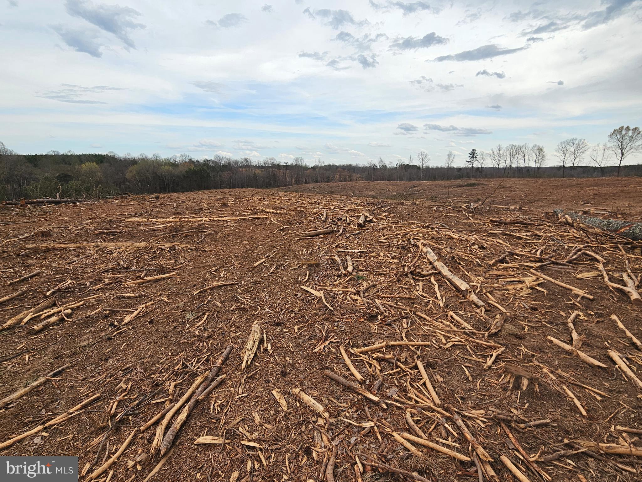 83.84-ac South James River Road Buckingham, VA 23921 - Photo 17 of 21
