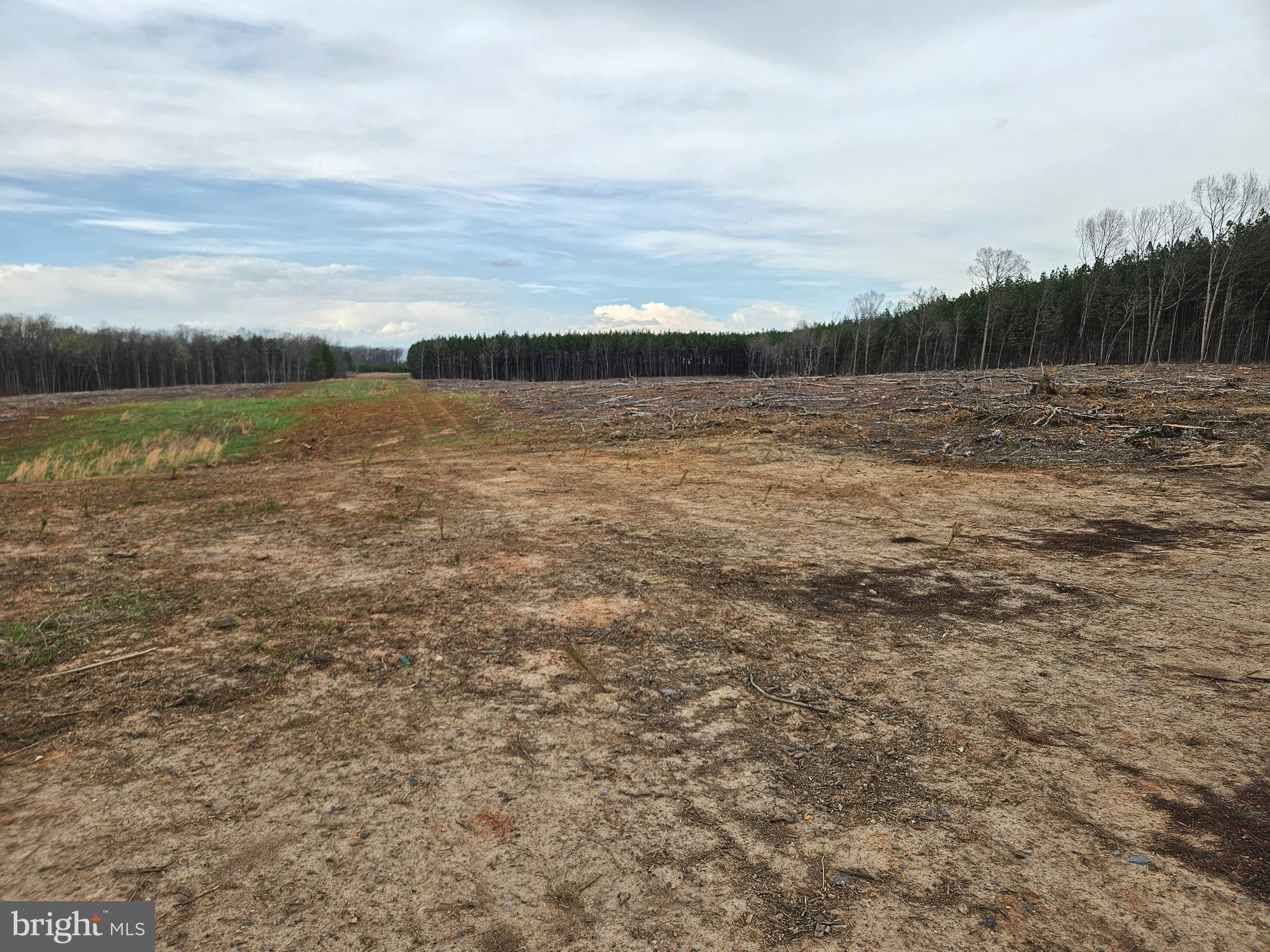 83.84-ac South James River Road Buckingham, VA 23921 - Photo 19 of 21