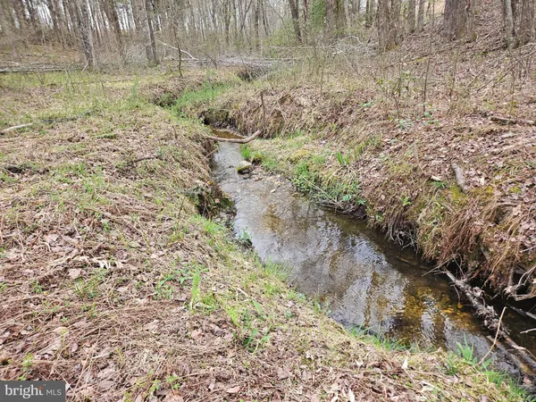 $200,000 | 83.84-ac South James River Road, Buckingham, VA 23921