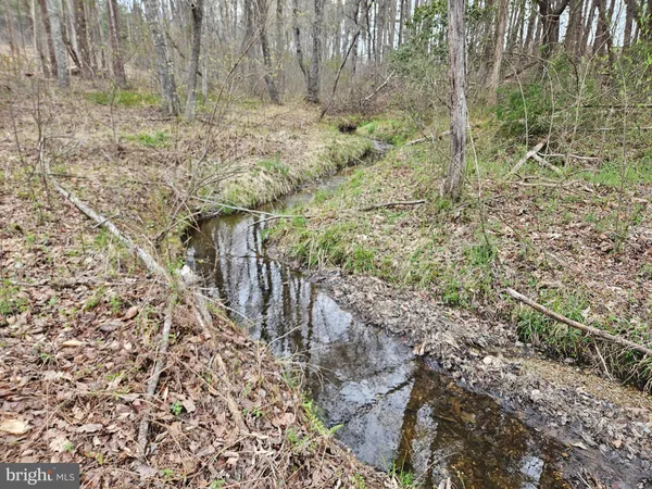 $200,000 | 83.84-ac South James River Road, Buckingham, VA 23921