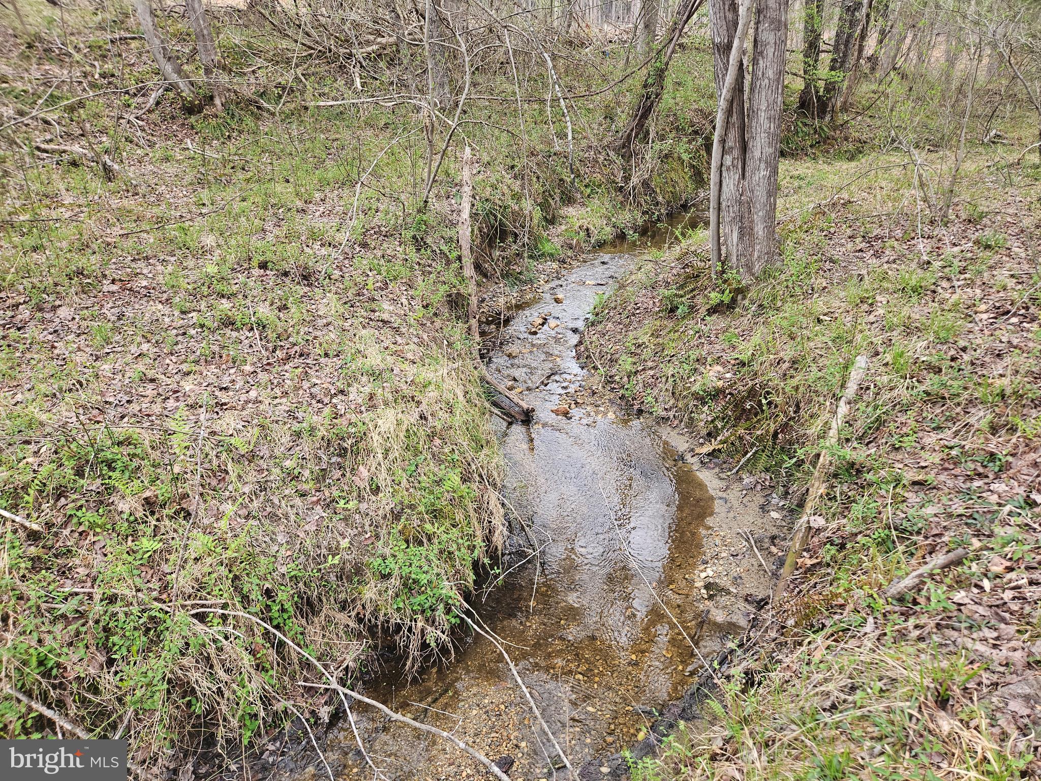 83.84-ac South James River Road Buckingham, VA 23921 - Photo 3 of 21