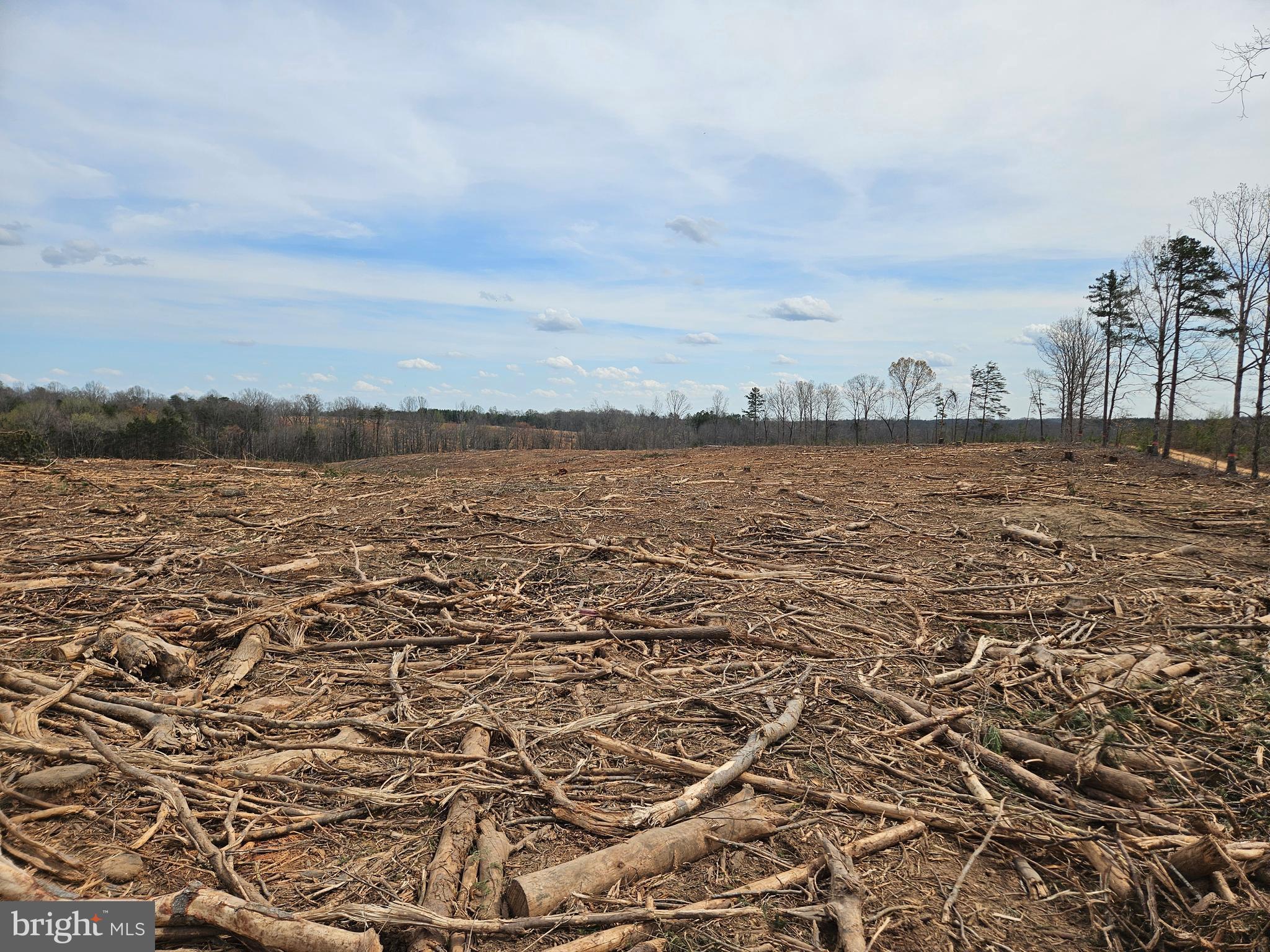 83.84-ac South James River Road Buckingham, VA 23921 - Photo 6 of 21