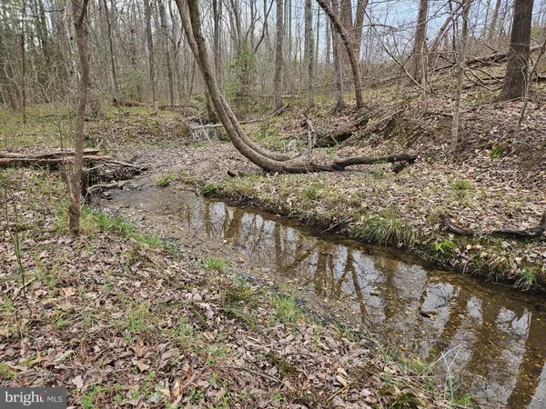 $200,000 | 83.84-ac South James River Road, Buckingham, VA 23921