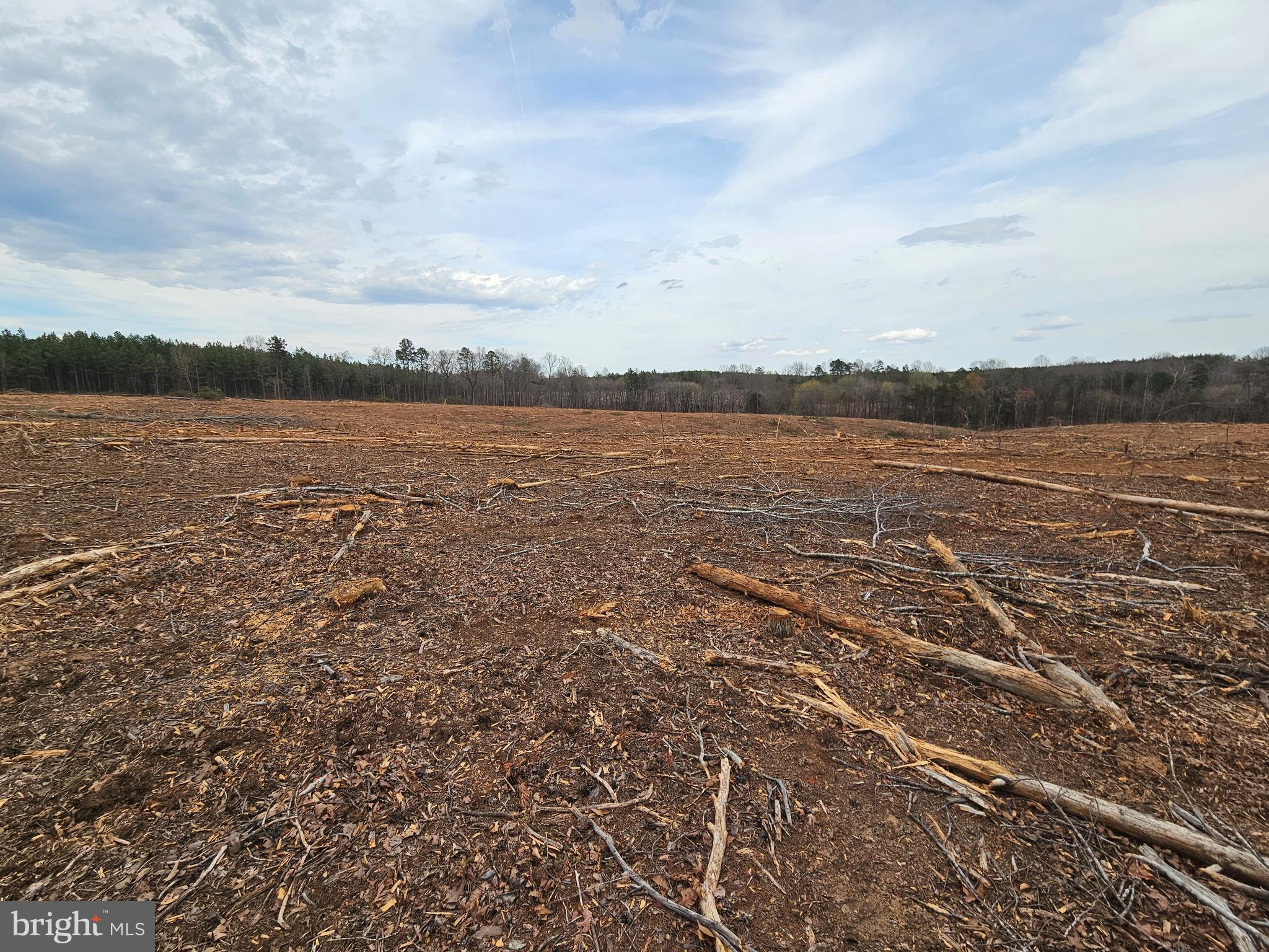 83.84-ac South James River Road Buckingham, VA 23921 - Photo 8 of 21