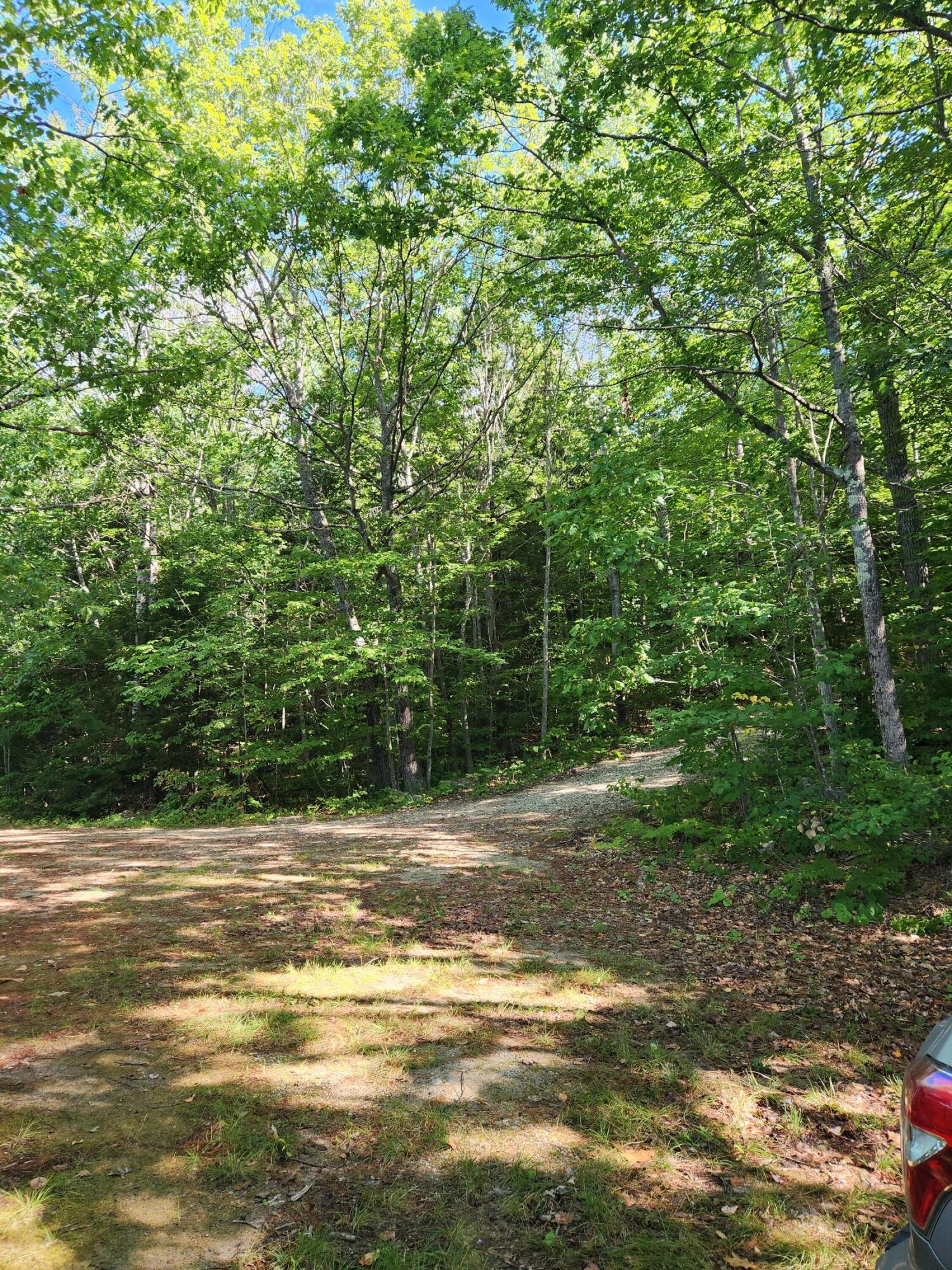286 Staples Hill Road Canton, ME 04221 - Photo 47 of 118 20250826_093408