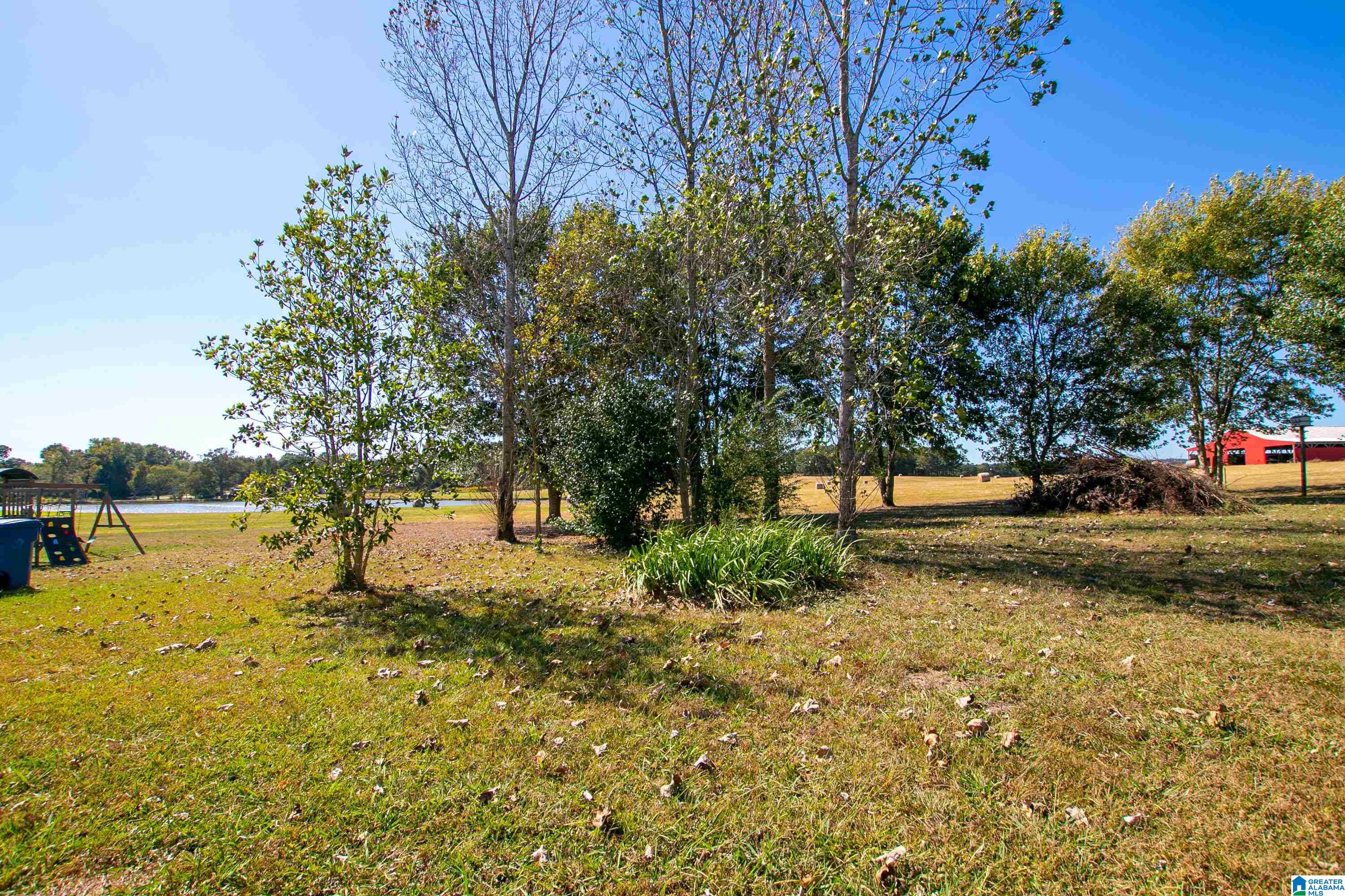 175 River Bend Road Altoona, AL 35952 - Photo 33 of 40