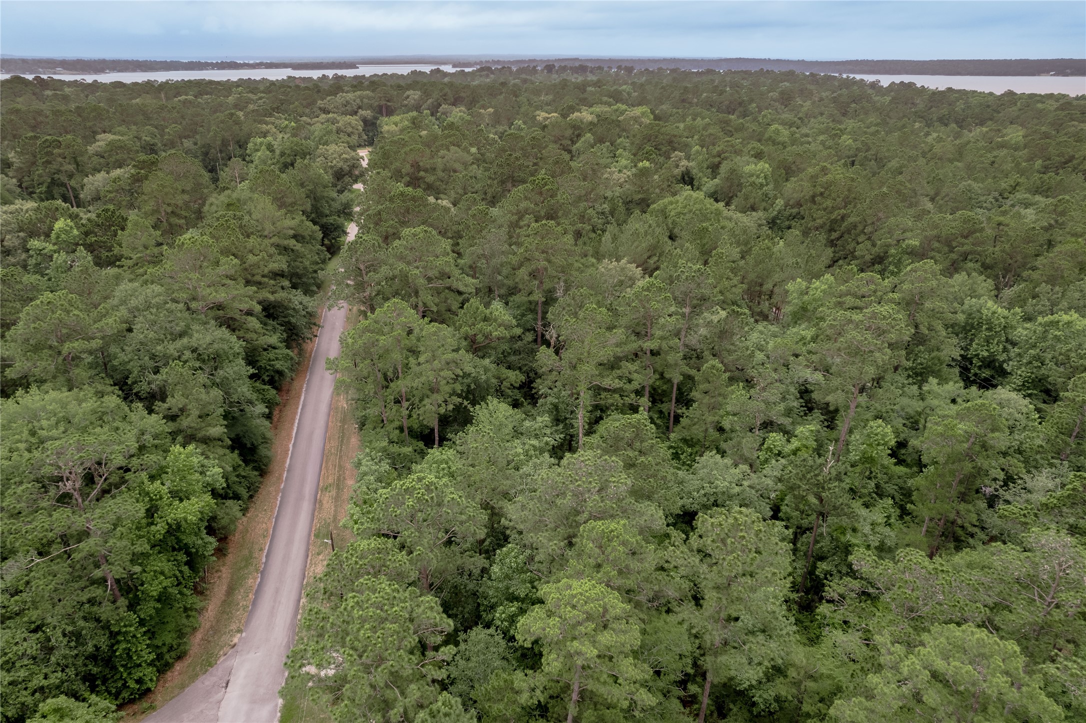 Lot 08 Oak Drive Trinity, TX 75862 - Photo 19 of 32