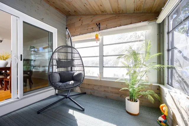 a living room filled with furniture and a potted plant