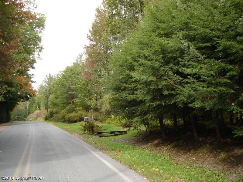 189 Mozzette Road Canadensis, PA 18325 - Photo 3 of 4 Open areas - possibilities galore!