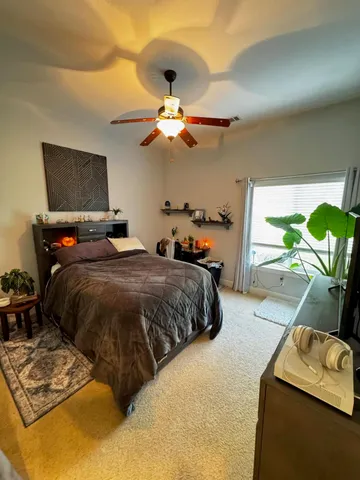 a view of a park with large trees